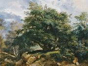 Jules Coignet Old Oak in the Forest of Fontainebleau oil